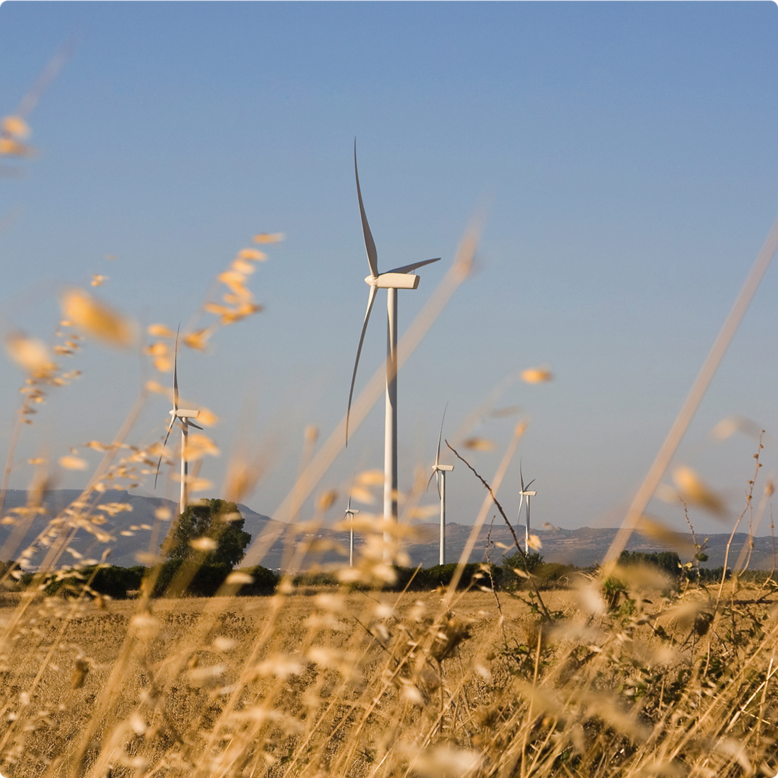 Wind Turbine